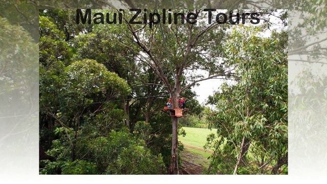 Maui Zipline Tours