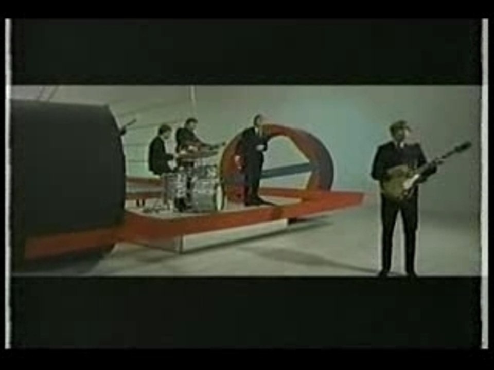 The Rockin Berries - What in the world