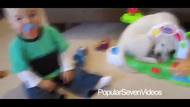 Bebeklerin Sevimli Kedi ve Köpeklerle Oynama Videoları - Komik Videolar 2015