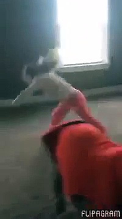 Une belle complicité entre un chien et une fillette