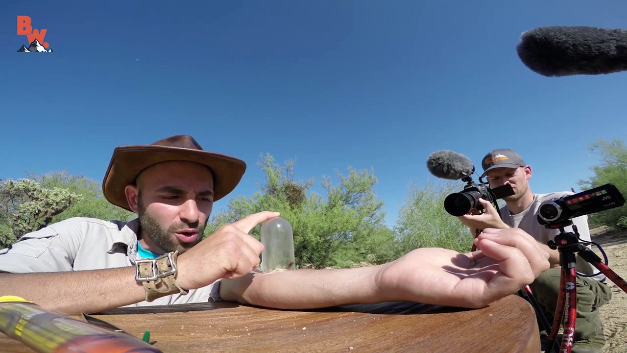 08:42 Un YouTubeur teste la 1ère classe d'Emirates Un YouTubeur teste la 1ère classe d'Emirates theo Spi0n 30.788 lượt xem 6:07 Tout Peut Arriver - La Télévision Tout Peut Arriver - La Télévision theo Studio Bagel ĐƯỢC QUẢNG CÁO 47.738 lượt xem 01:03 Il