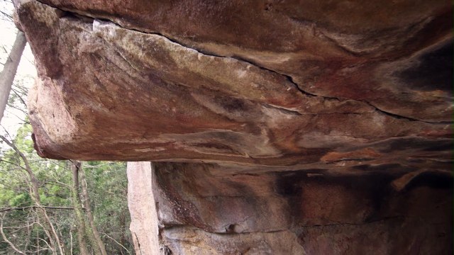 Adrénaline - Escalade : A la découverte d'Ashima Shiraishi, 15 ans