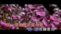 任妙音&祁隆-今生遇見你    范家華上傳