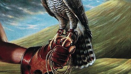 THE ART OF FALCONRY - MAURICE HEERDINK