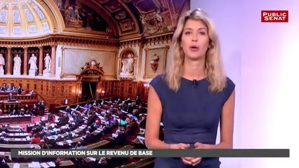 Revenu de base - Les matins du Sénat (12/09/2016)