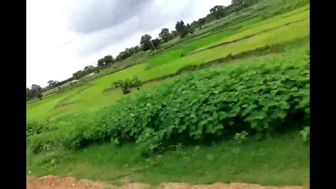 My Vlog 1