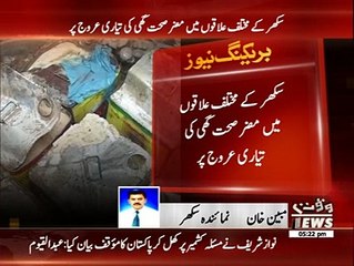 Sukkhar Mein Charbi se bna ghee