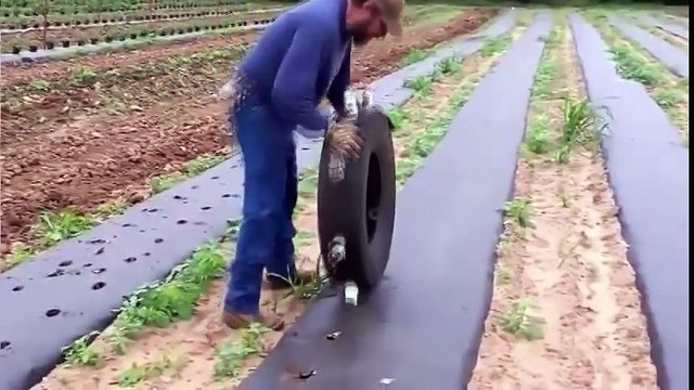 İNANILMAZ ŞEKİLDE KEÇİ SÜTÜ SAĞMA MAKİNESİ ! - AKILLI TEKNOLOJİLER - MODERN MAKİNELER