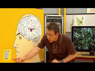 SblarsBLAR Production - Marcelo Trip - Parodie Fred et Jamie