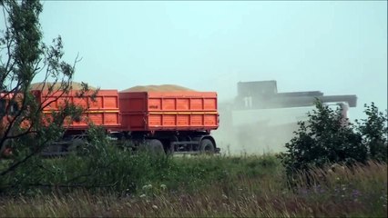 Шесть комбайнов ACROS на уборке озимой пшеницы