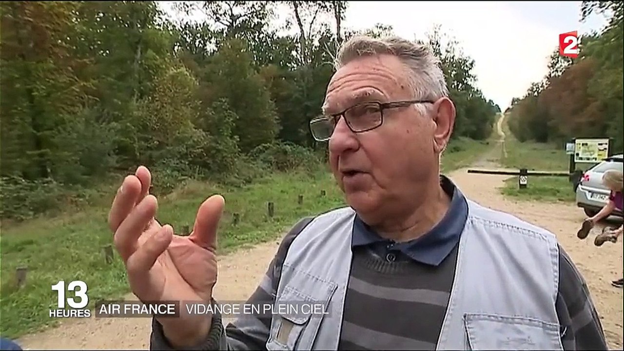 Air France : vidange d'un avion en plein ciel, au-dessus de la forêt de Fontainebleau