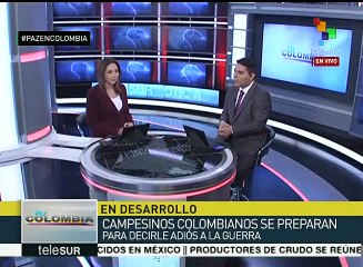 Orejuela: Paz en Colombia será que Estado vuelva garantizar derechos