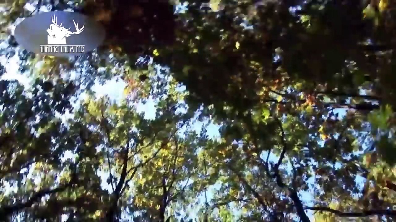 Des sangliers et des chasseurs | épisode 4