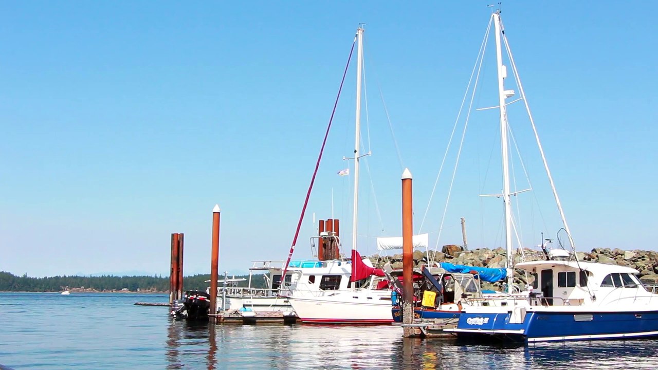 Small port with sailboats