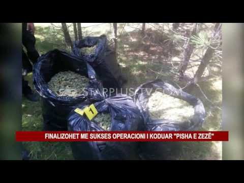 FINALIZOHET ME SUKSES OPERACIONI I KODUAR PISHA E ZEZË