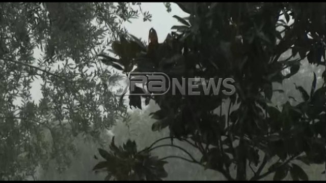 Ora News- Moti i keq, shi dhe breshër në Tiranë