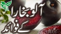 Aloo Bukhara Ke Lajawab Faide Urdu Hindi | Plum Benefits in Urdu