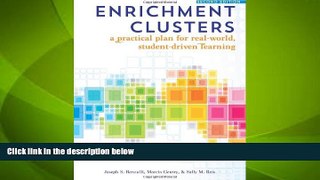 Big Deals  Enrichment Clusters: A Practical Plan for Real-World, Student-Driven Learning  Free