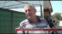 Familja Toro hap dyert e zisë - News, Lajme - Vizion Plus