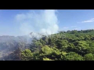 Vazhdojnë flakët në malin e Shëngjinit, rrezikohen 4 banesa