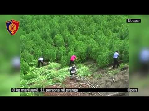 Drogë dhe armë në Skrapar - Top Channel Albania - News - Lajme