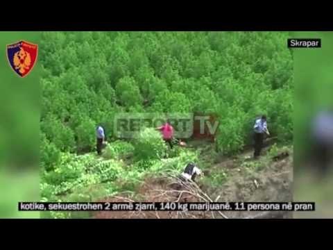 Report TV - Skrapar, sekuestrohen drogë dhe armë, arrestohen 11 persona