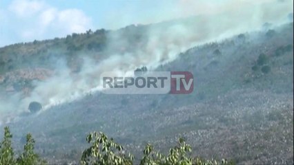 Report TV - Zjarr në zonën turistike të Rrjollit favorizohet nga erërat e forta