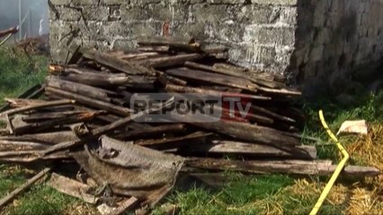 Report TV - Vau i Dejës, zjarri përfshin një stallë bagëtish, flakët rrezikojnë një familje