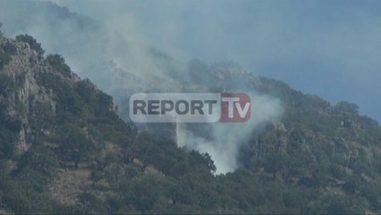 Report TV - Zjarret pushtojnë Lezhën,dhjetëra ha  pyje të djegura në Rrjoll e Torovicë
