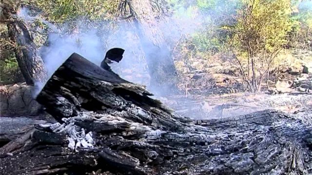 Mjedisi: Në gusht 16 zjarre, të gjithë të qëllimshëm - Top Channel Albania - News - Lajme