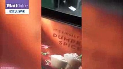 28.2 female beggars stealing a mobile phone from a tourist in London