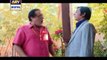 Watch Bulbulay Episode 271 on Ary Digital in High Quality 26th September 2016