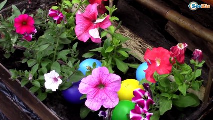 Spiderman vs Batman! w/ Frozen Elsa Pink Spidergirl Joker Ironman Funny Superhero Video :)