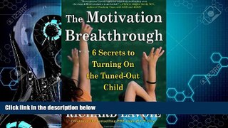 Big Deals  The Motivation Breakthrough: 6 Secrets to Turning On the Tuned-Out Child  Best Seller