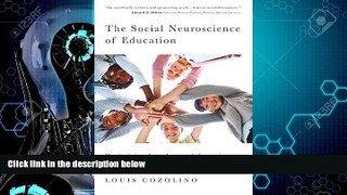 Big Deals  The Social Neuroscience of Education: Optimizing Attachment and Learning in the