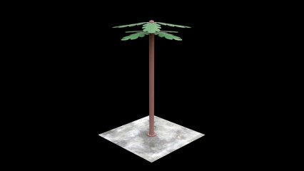 PALM TREES