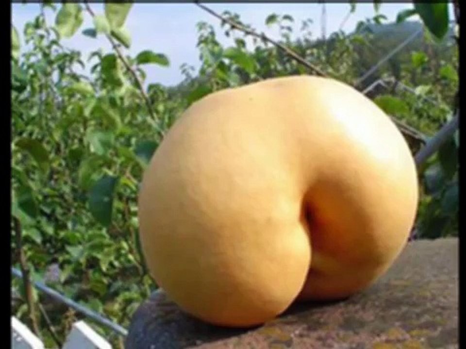 UNIQUE !!!? Fruits