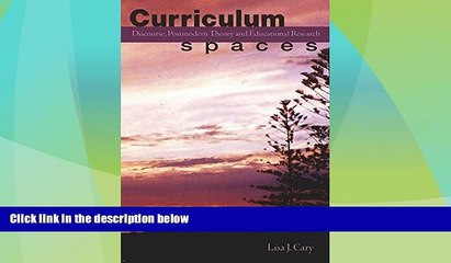 Big Deals  Curriculum Spaces: Discourse, Postmodern Theory and Educational Research (Complicated