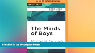 Big Deals  The Minds of Boys: Saving Our Sons From Falling Behind in School and Life  Best Seller