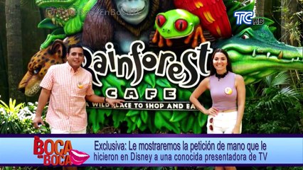 Le mostraremos la petición de mano que le hicieron en Disney a una conocida presentadora de TV