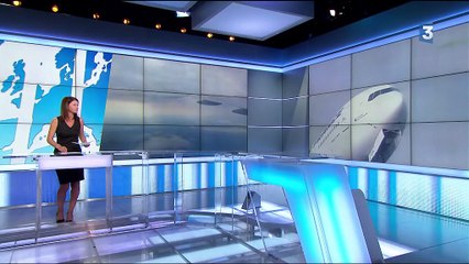 Un avion d'Air France vidange son kérosène au-dessus de la forêt de Fontainebleau