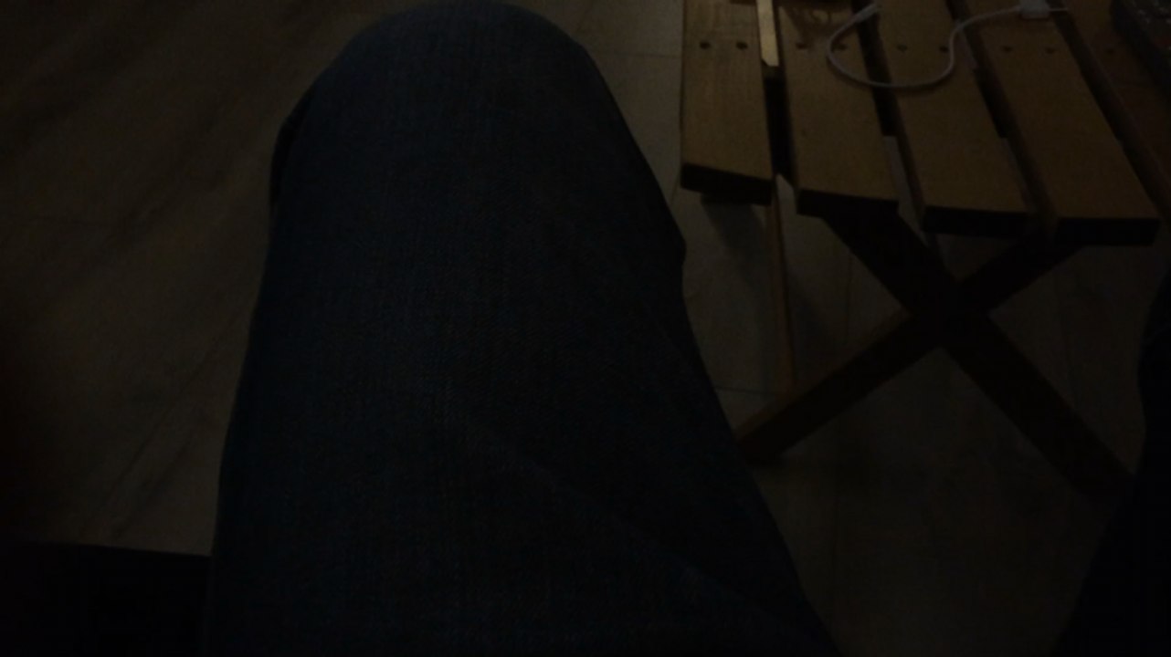 Sarkozy et les Gaulois