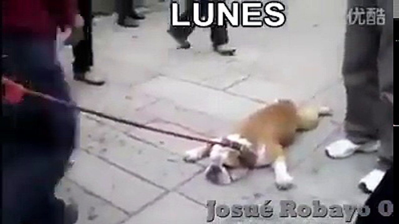 Mi Semana