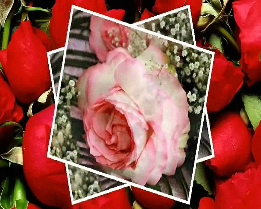 Tarkan-Soyleme-Bilmesinler