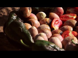Cocineras Tradicionales