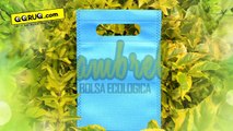 Bolsas Ecológicas